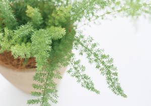 洗面台のことならMKクリエーション